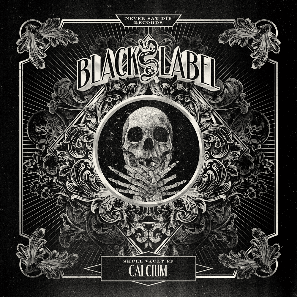Cover image for Skull Vault EP