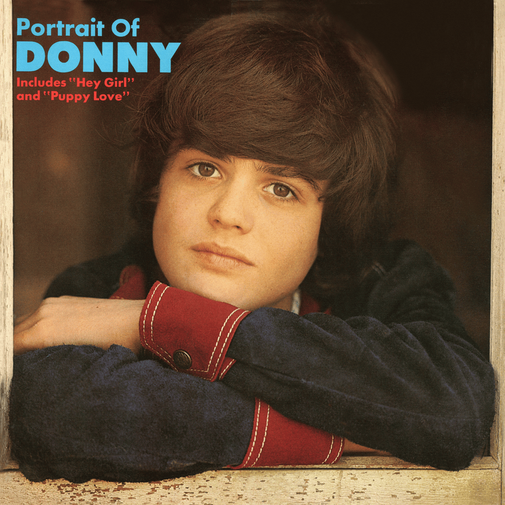 Album cover art for "Promise Me" by Donny Osmond