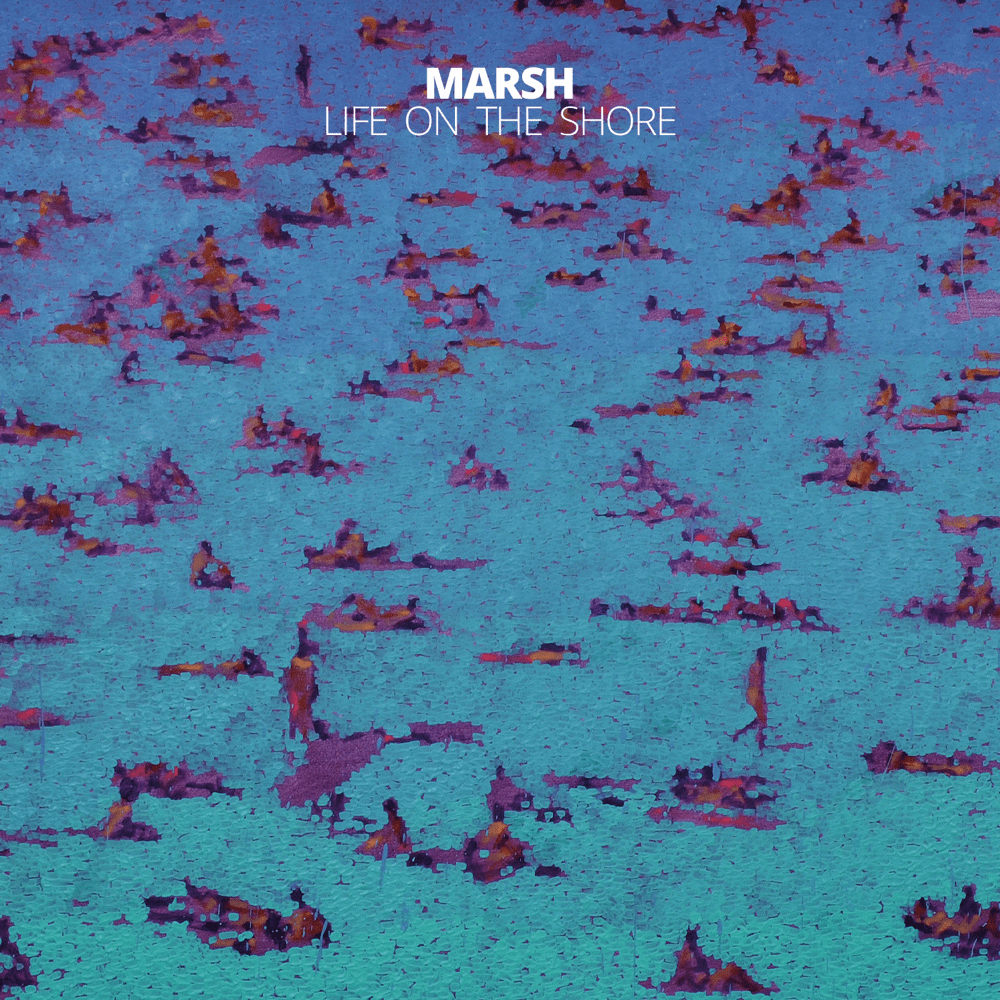 Cover image for Life On The Shore