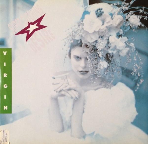 SUPER CATCHING DESIRE by Virgin (Eurobeat Disco Project)