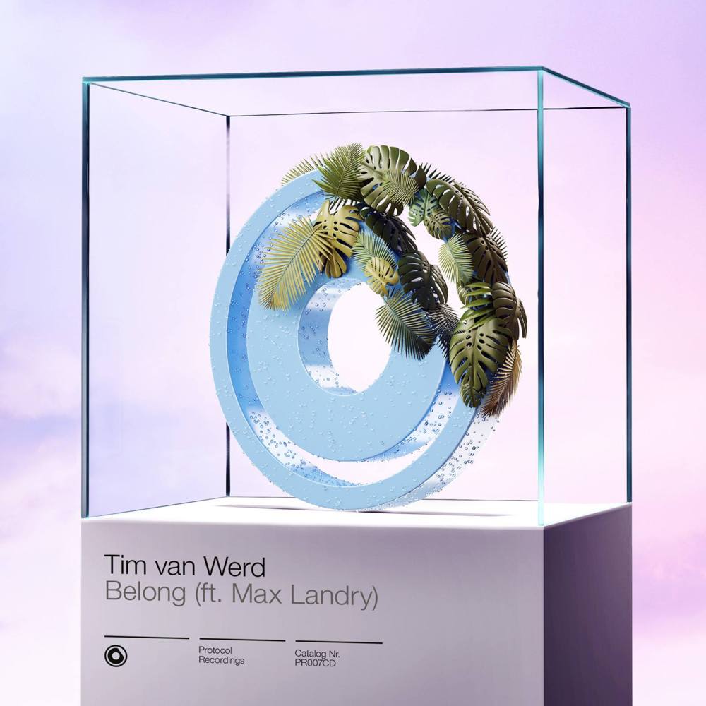 Belong by Tim van Werd