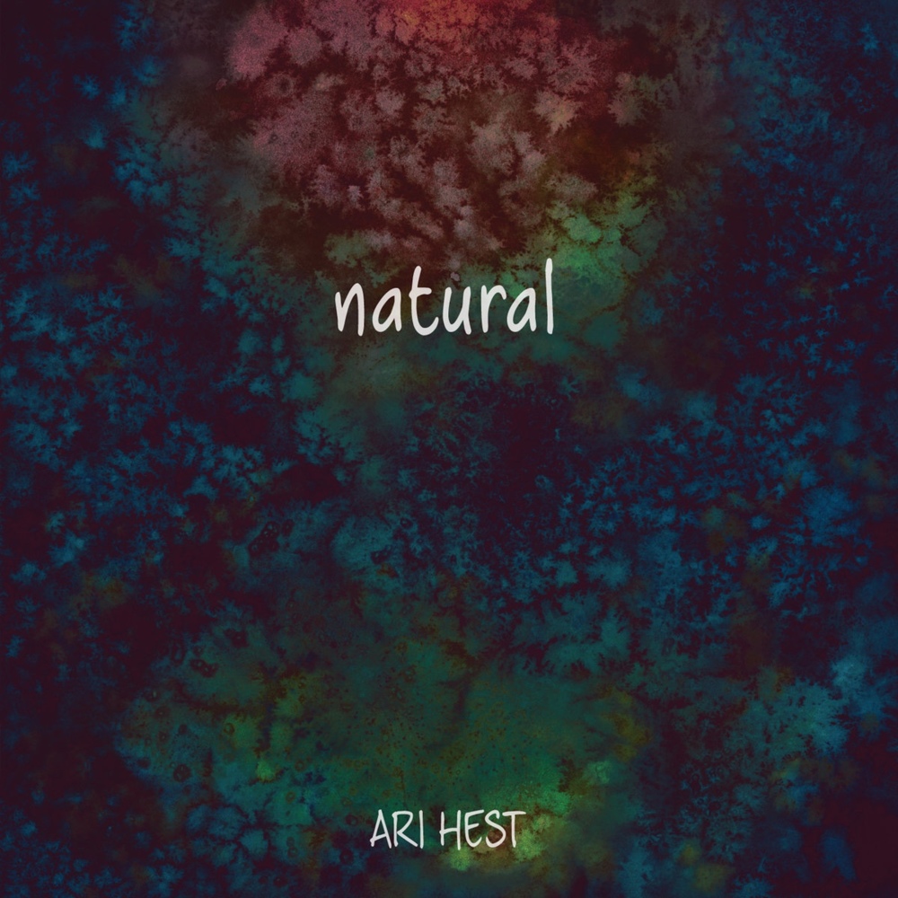 Believing Is The First Step by Ari Hest