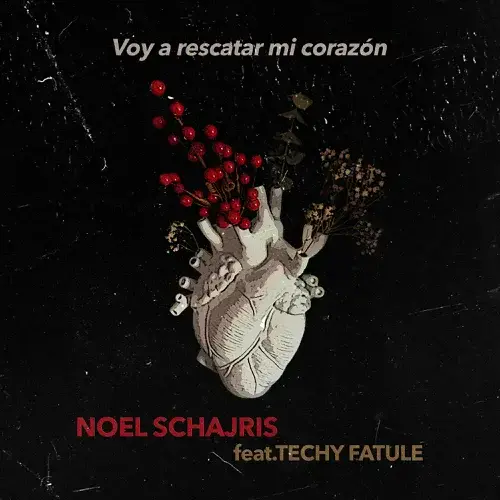 Album cover art for "Voy a Rescatar Mi Corazón" by Noel Schajris & Techy Fatule