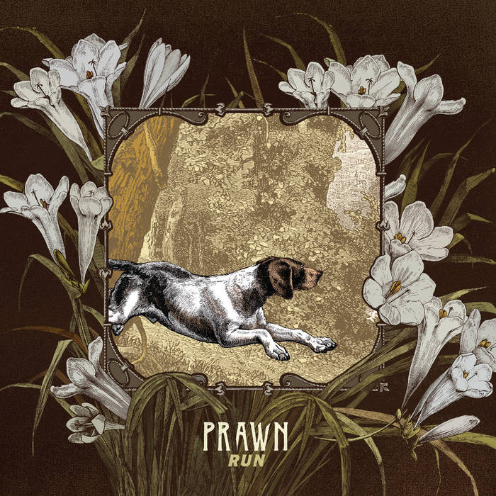 Leopard’s Paw by Prawn