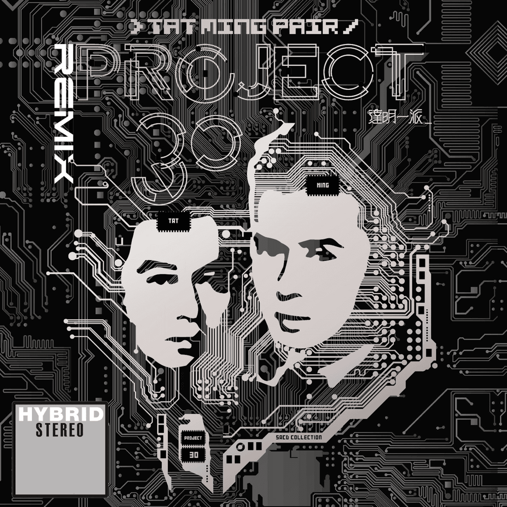 Cover image for Remix (Project 30)