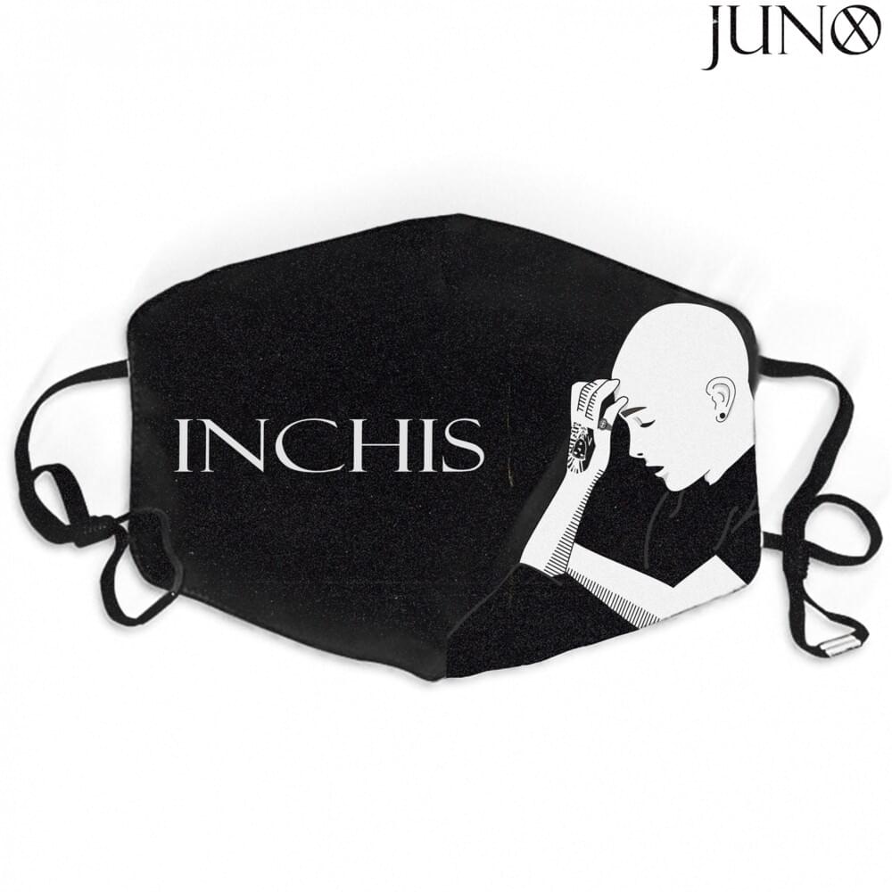 Cover image for Închis