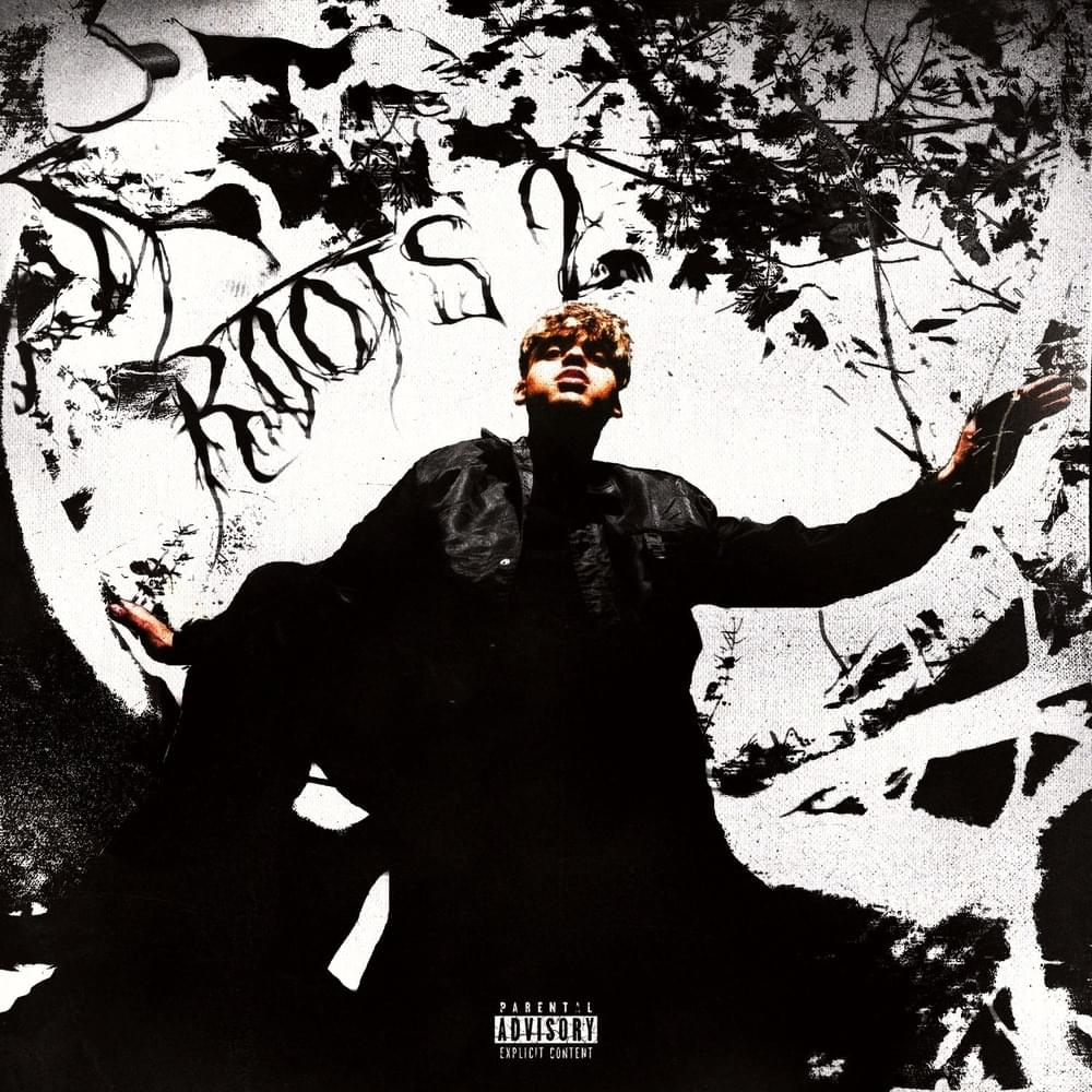 Cover image for Roots 2