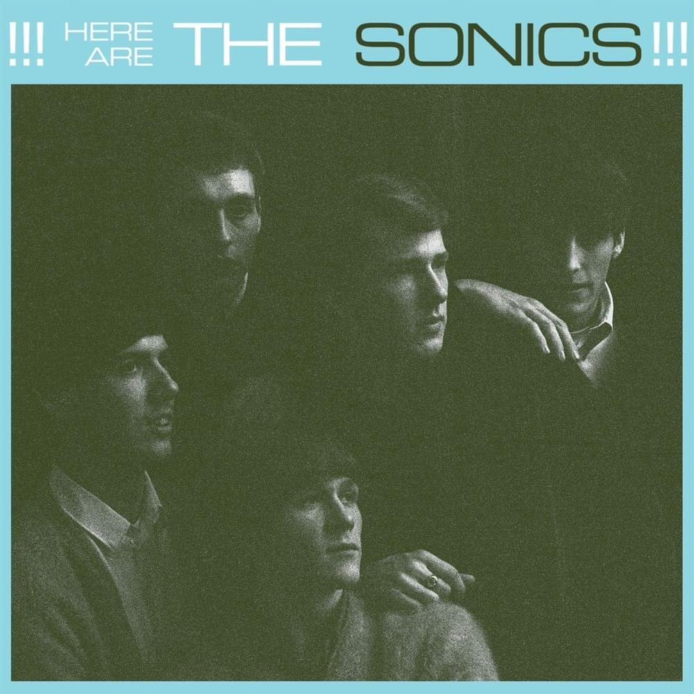 Have Love, Will Travel by The Sonics