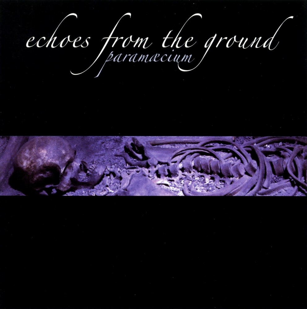 Echoes by Paramaecium