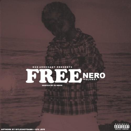 Cover image for Free Nero Vol. 1