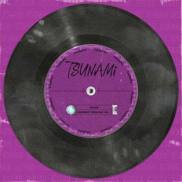 Album cover art for "Tsunami" by R3HAB