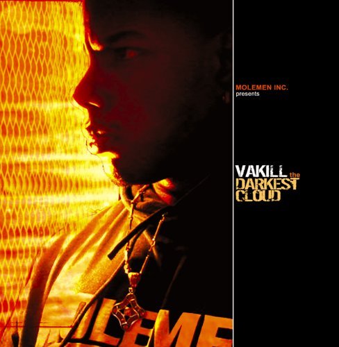 Album cover art for "Fallen" by Vakill & Slug
