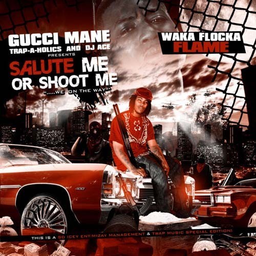 Cover image for Salute Me or Shoot Me