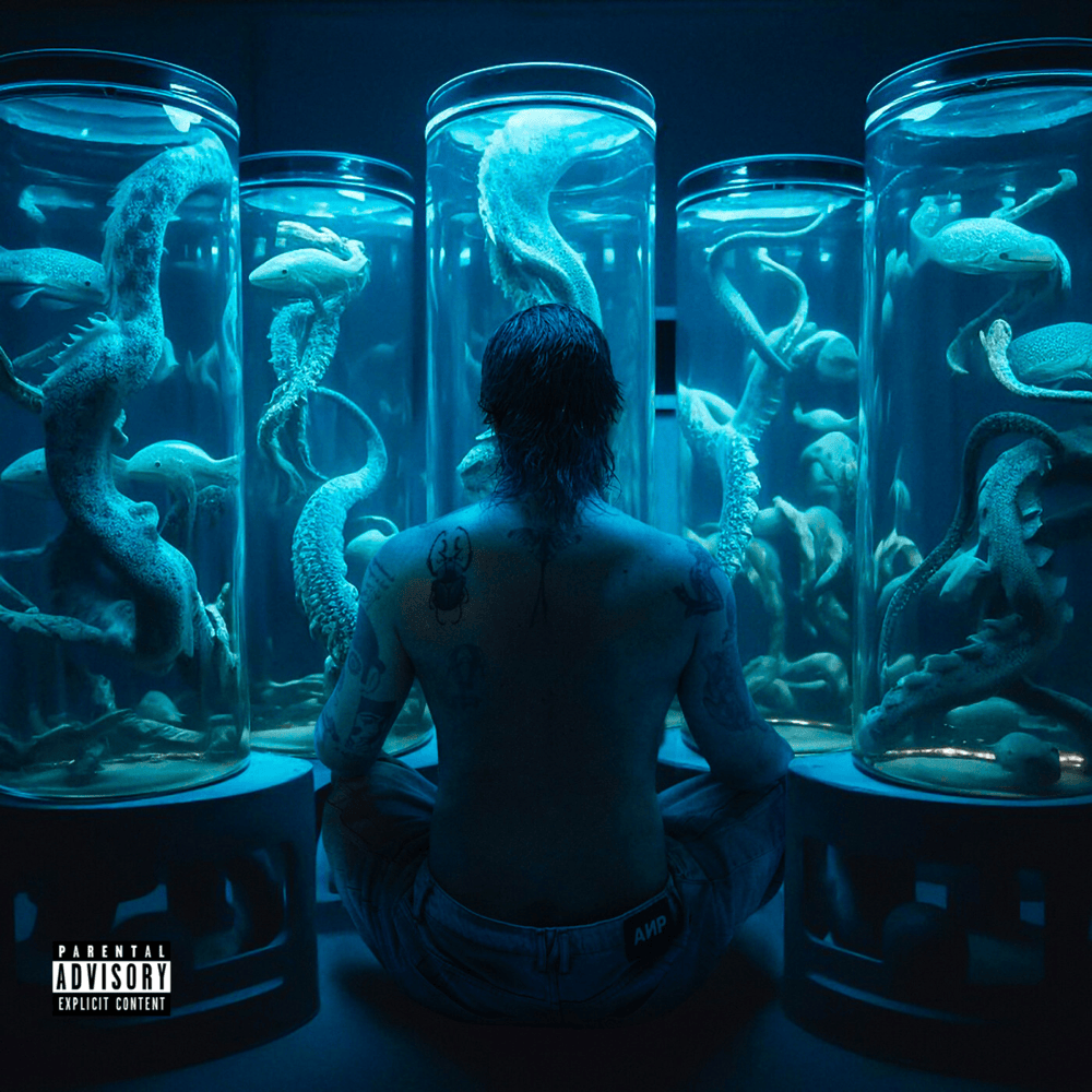 Album cover art for "curto-circuito (Katy da Voz e As Abusadas & Clementaum RMX)" by CHAMELEO