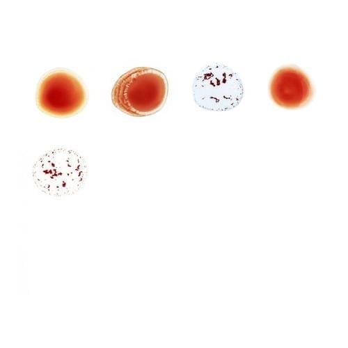 Album cover art for "Mirrorball" by Peter Gabriel