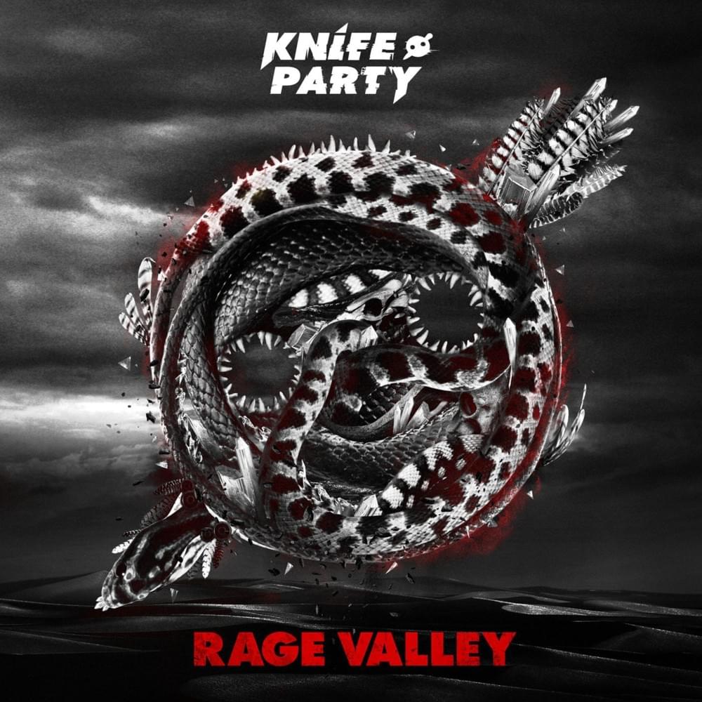 Cover image for Rage Valley