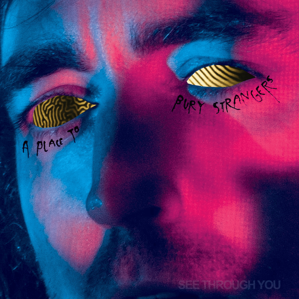 Cover image for See Through You