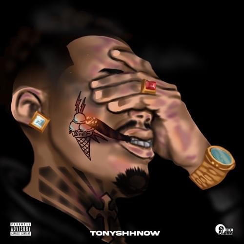 Album cover art for "Skressfull" by Tony Shhnow