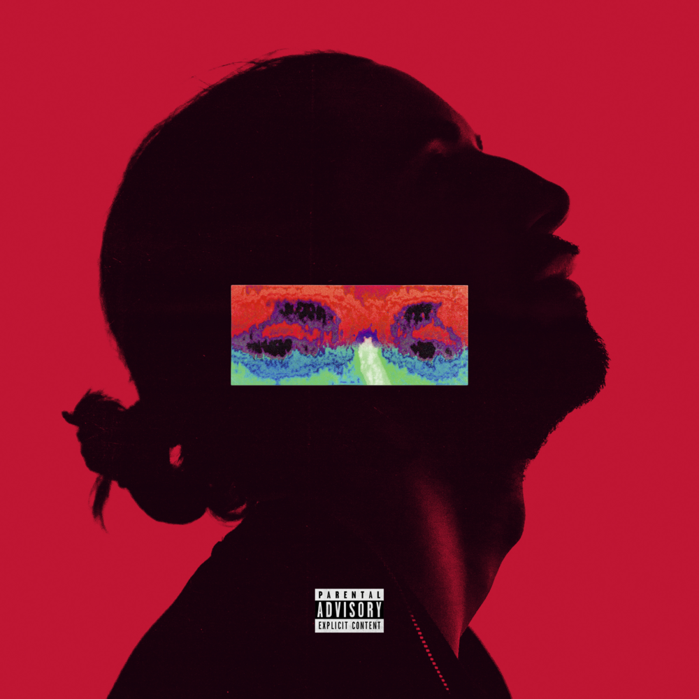 Cover image for Amina