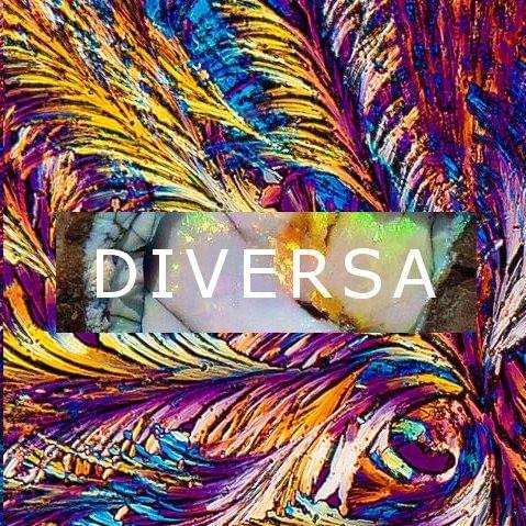 Photo of DIVERSA
