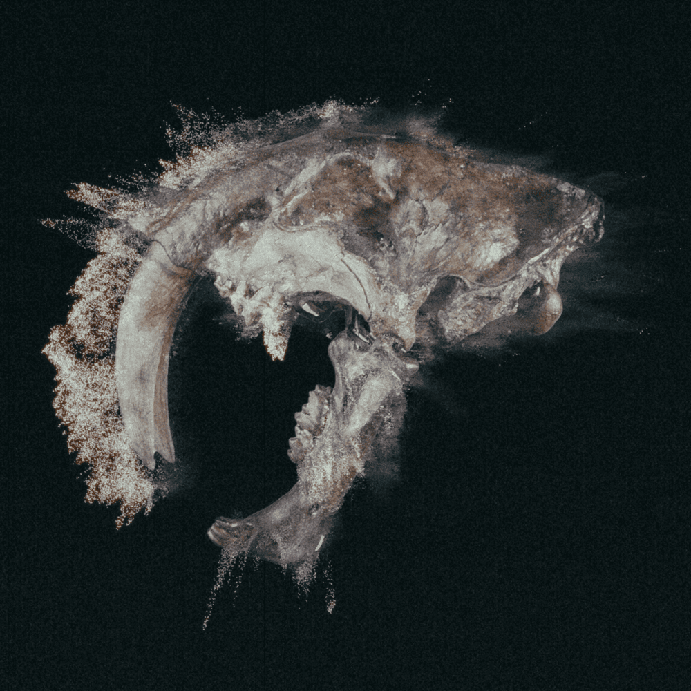 Album cover art for "Sabretooth" by Feed Me