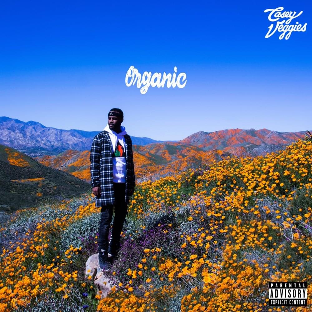 Album cover art for "Awarded" by Casey Veggies