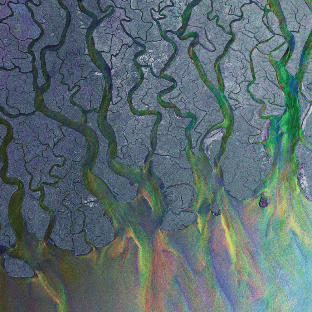 Taro by ​​alt-J