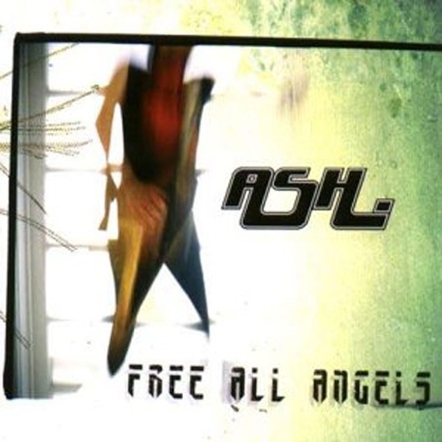 Cover image for Free All Angels