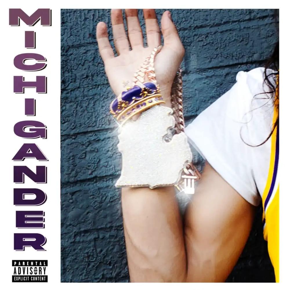 Album cover art for "Michigander" by BabyTron