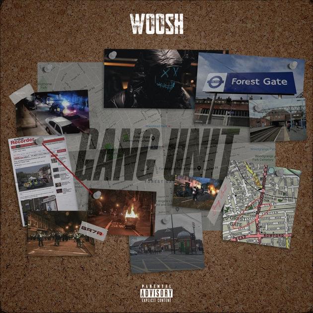 Cover image for Gang Unit