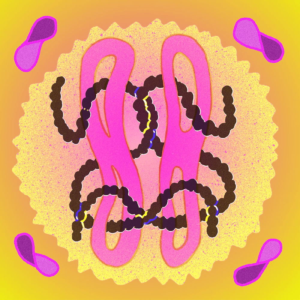 Album cover art for "A Real Thing" by The Beths