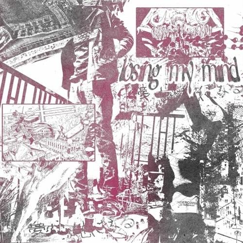 Cover image for Losing My Mind