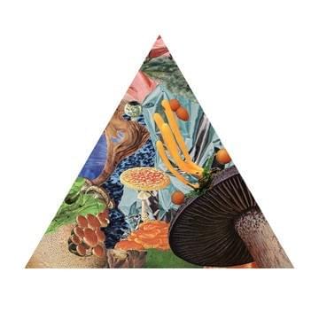 Cover image for Poison the Well (Record Store Day 7")