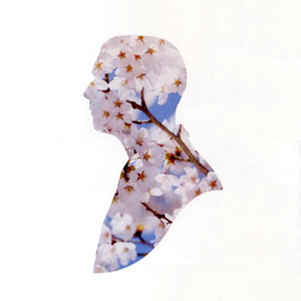 Album cover art for "Miracles" by Pet Shop Boys