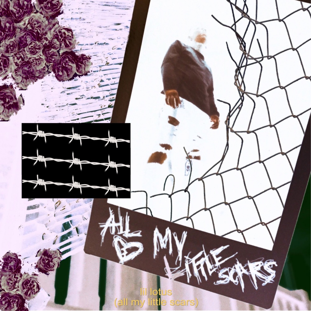 Album cover art for "Dead To Me" by LiL Lotus