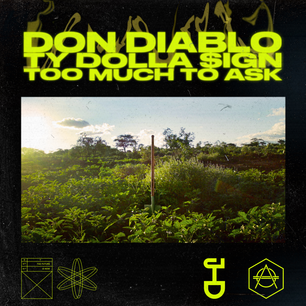 Album cover art for "Too Much to Ask" by Don Diablo & Ty Dolla $ign