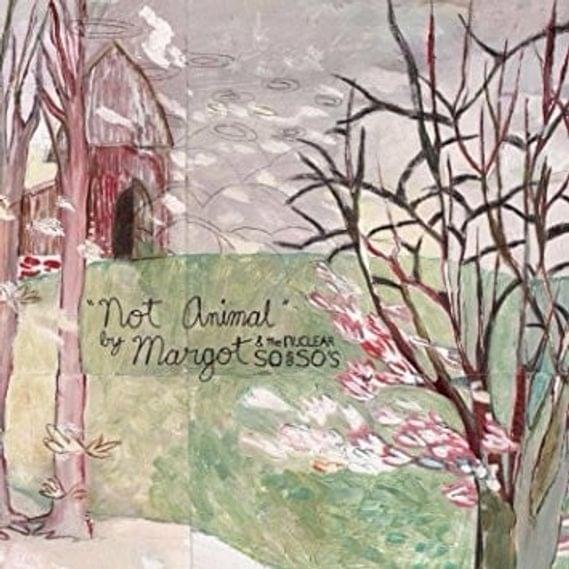 Broadripple Is Burning by Margot & the Nuclear So and So’s