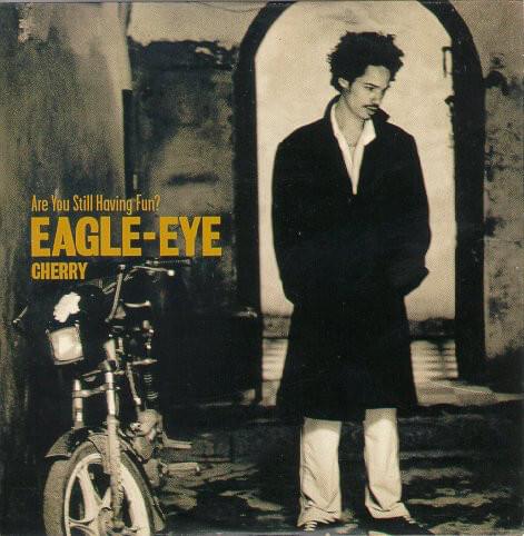 Album cover art for "Are You Still Having Fun?" by Eagle-Eye Cherry
