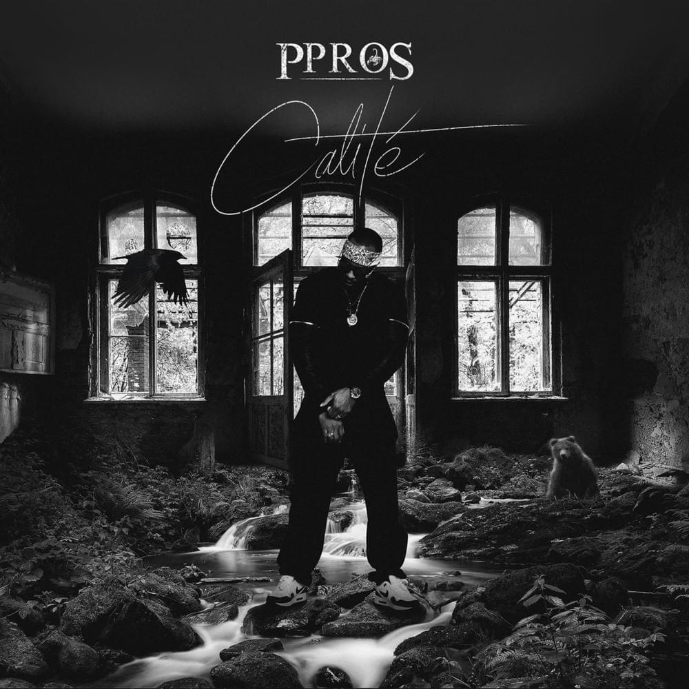 Cover image for Calité