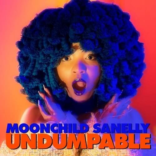 Cover image for Undumpable