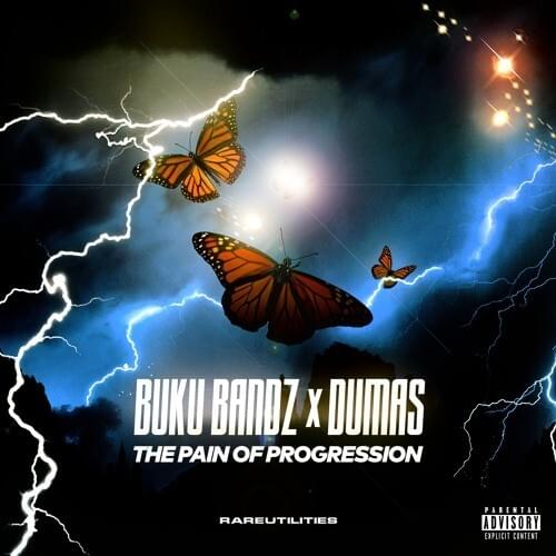Cover image for The Pain Of Progression