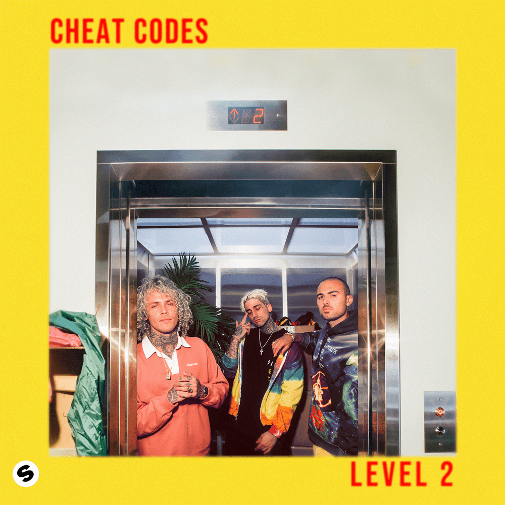 Cover image for Level 2