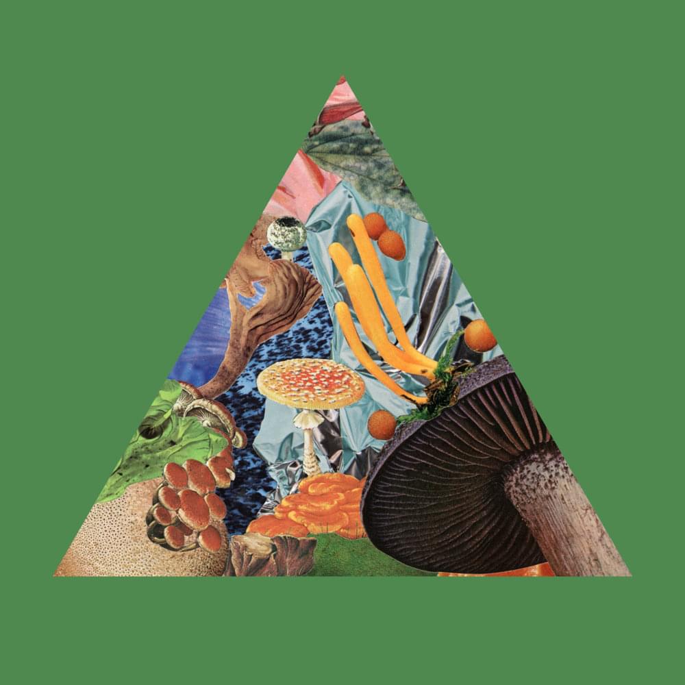Album cover art for "Poison the Well" by Modest Mouse
