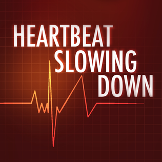 Album cover art for "Heartbeat Slowing Down" by The All-American Rejects