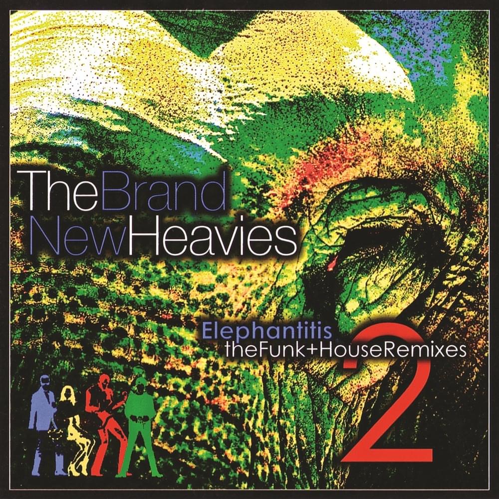 Cover image for Elephantitis 2: The Funk + House Remixes