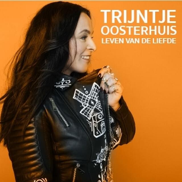 Als De Liefde Niet Bestond by Trijntje Oosterhuis
