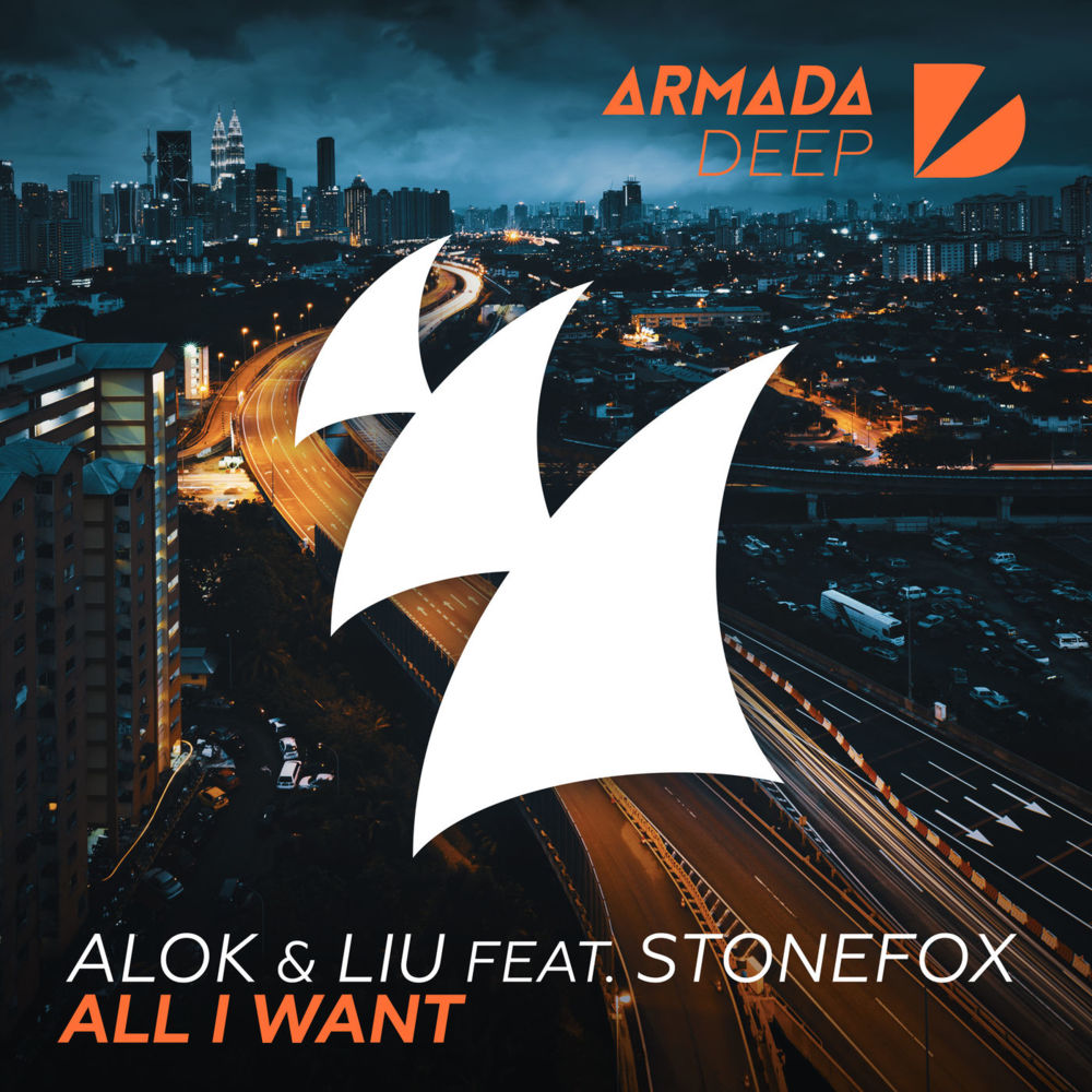Album cover art for "All I Want" by Alok & Stonefox