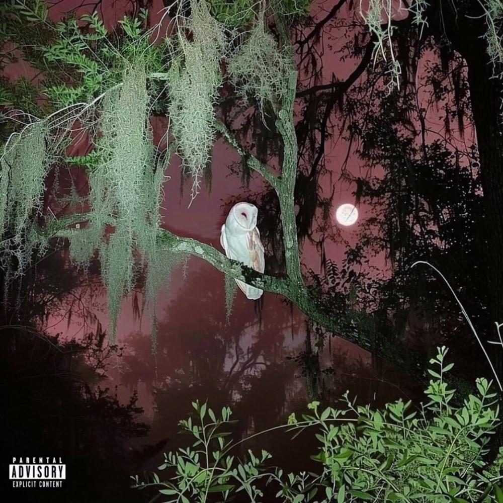 Album cover art for "How U Feel" by BIGBABYGUCCI