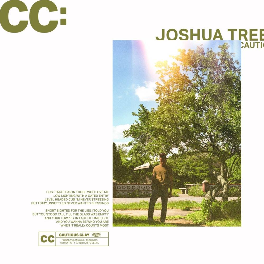 Joshua Tree by Cautious Clay