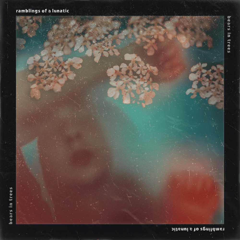 Ramblings of a Lunatic by Bears in Trees
